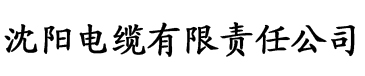 黄app污电缆厂logo